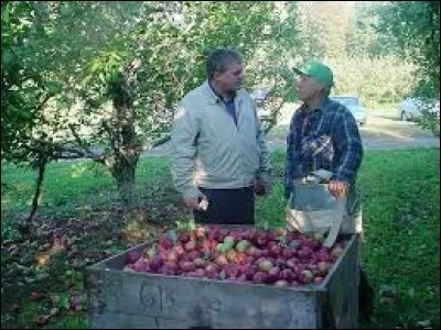 Comment orthographie-t-on le mot suivant ?