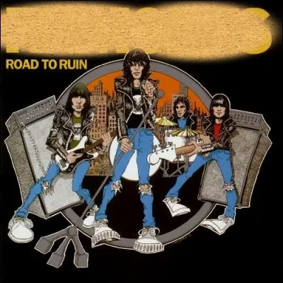 Quel est le nom de ce groupe punk rock am&eacute;ricain ?