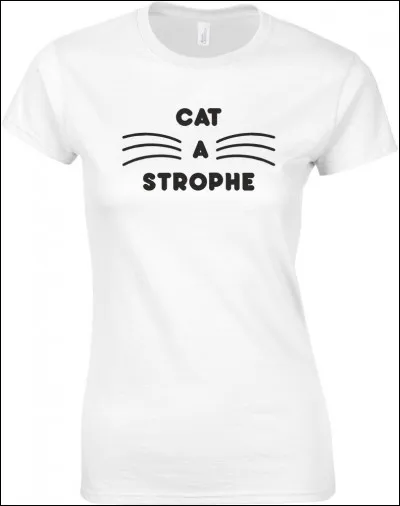 Un dizain est une strophe de dix vers.