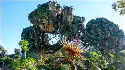 Quel film cette image vous évoque-t-elle ?