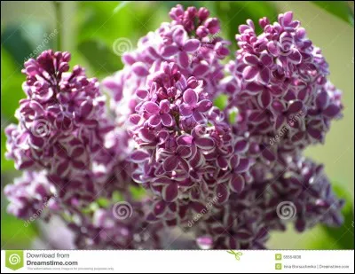 Exploitation agricole, c'est la...