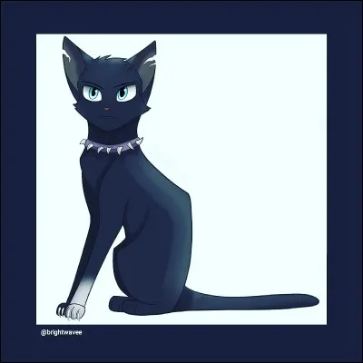 Quel est le nom de ce chat noir ?