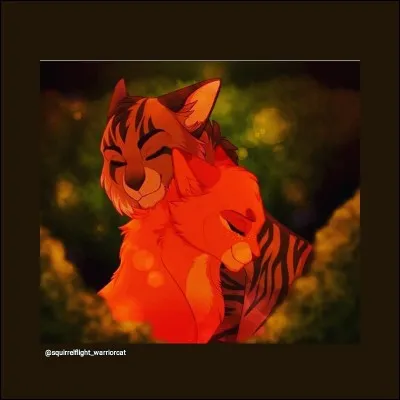 Quels chats forment ce couple ?