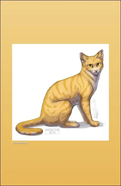 Quel est le nom de cette chatte ?