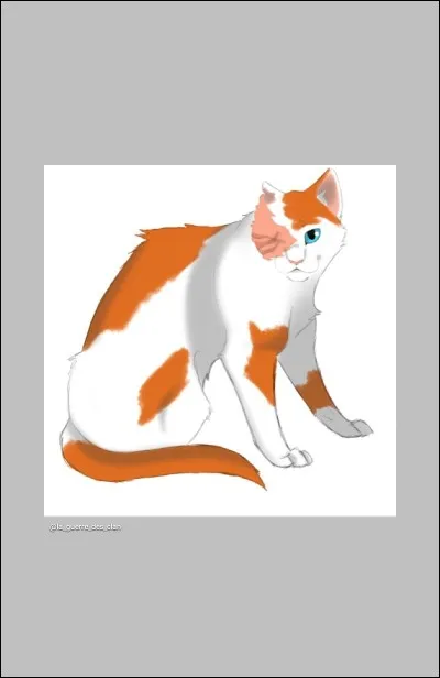 Quel est le nom de cette chatte ?