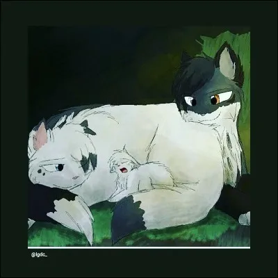 Quels sont les noms des chats de cette famille ?