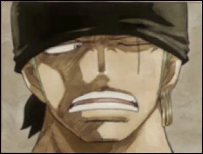 Les primes que Zoro a eues sont :