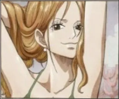 Les primes que Nami a eues sont :