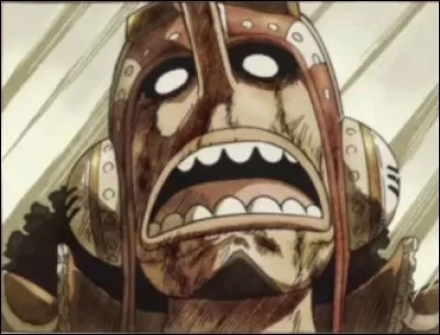 Les primes que Usopp a eues sont :