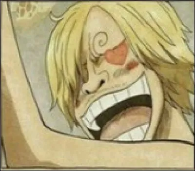 Les primes que Sanji a eues sont :