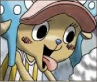 Les primes que Chopper a eues sont :