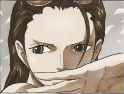 Les primes que Robin a eues sont :