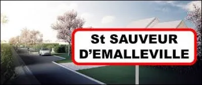Saint-Sauveur-d'Émalleville est un village normand situé dans le département ...