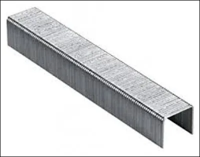 Que voyez-vous sur cette image ?