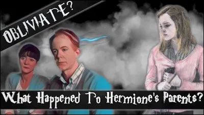 Quel est le travail des parents d'Hermione ?