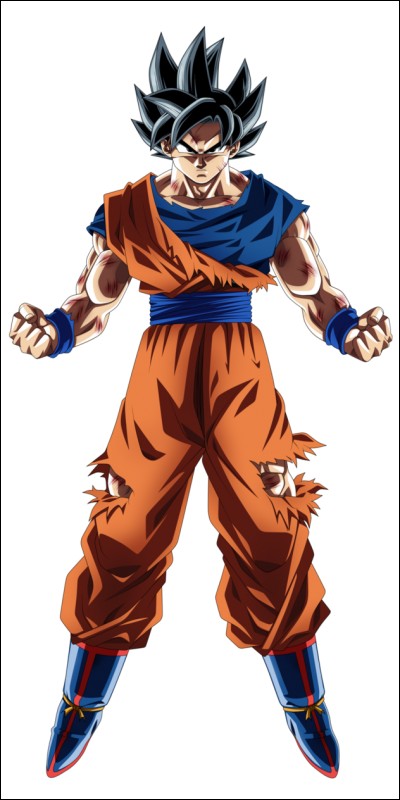 Qui est le grand-père de Goku ?