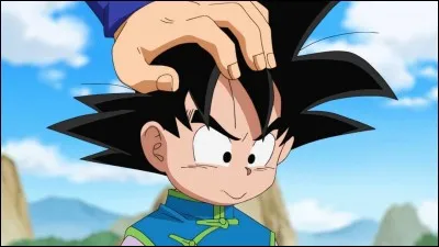 Combien d'enfants sont nés dans « DBZ » ?