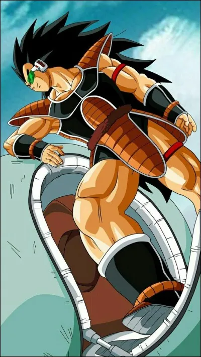 Comment Raditz s'est-il fait tuer ?