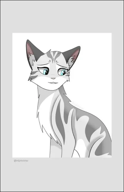 Quel est le nom de cette chatte ?