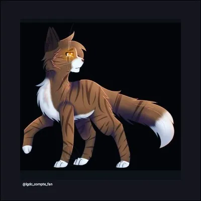 Quel est le nom de ce chat ?