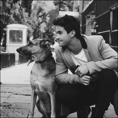 Quel plat préfères-tu pour un dîner romantique ?