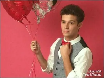 Le dauphin est-il ton animal favori ?