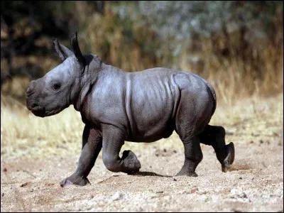 "La Plaisanterie" est le titre d'un ouvrage sign&eacute; Eug&egrave;ne Ionesco.