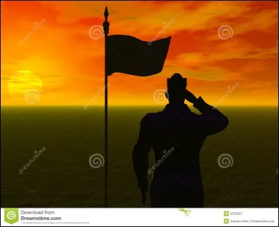 Définition : C'est une planche de saluts !