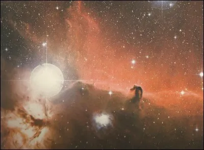 Dans quelle constellation se situe la nébuleuse "la Tête de Cheval" ?