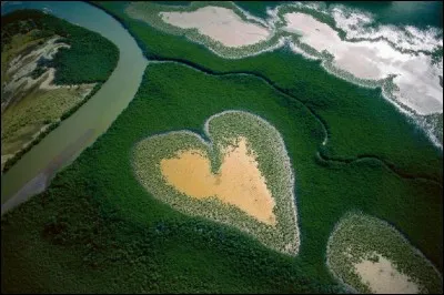Qui est l'auteur du livre ''La Terre vue du ciel'' ?
