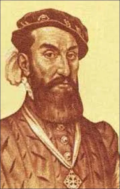 Qui était Álvaro Núñez Cabeza de Vaca ?