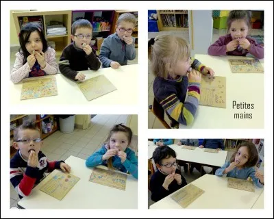 Quel est le seul organe dont sont munis les timbres ?