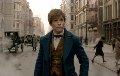 Au début du film, pourquoi Norbert se rend-il dans cette ville ?