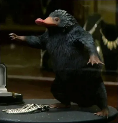 Laquelle de ces affirmations est exacte à propos du Niffleur ?