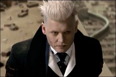 Grâce à quel sortilège, découvre-t-on que Grindelwald a pris l'apparence de Percival Graves ?