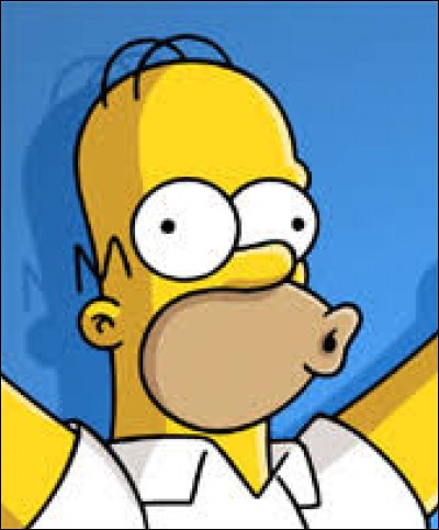 Presque tout au long de la série, on voit que Homer n'a (presque) pas de cheveux. Si vous le connaissez bien, vous pouvez me dire très facilement quelle fut la couleur de ses anciens cheveux.