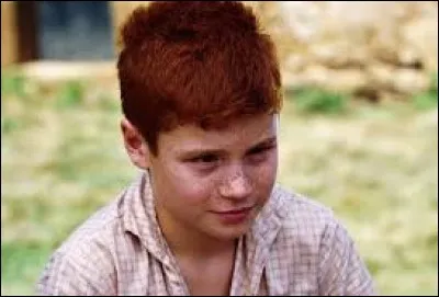 Quelle est la couleur de cheveux de Poil de Carotte ?