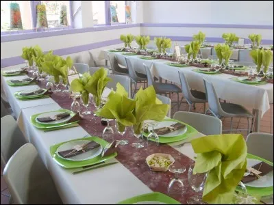 Tatiana a (louer) une salle de fête pour ton anniversaire.