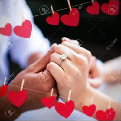 Maxime et Olivia sont (admirer) par leurs voisins.