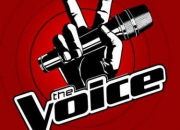 Quiz 'The Voice' et 'The Voice Kids'