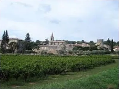 Saint-Michel-d'Euzet est un village d'Occitanie situé dans le département ...
