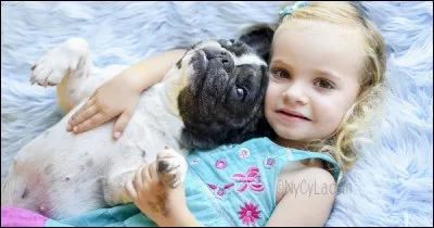 Quel est le métier de Cécile ?