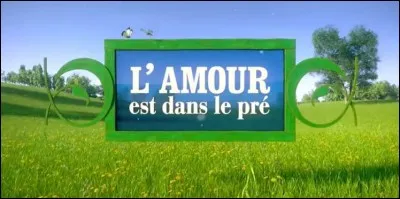 Son amour fut attristant !