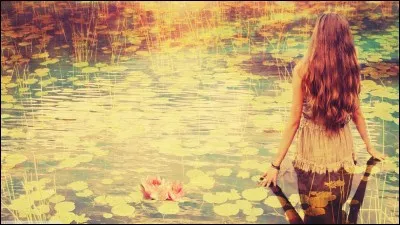 Je suis trois lacs parmi plus de 175 dans ce superbe pays.

- Quelle proposition suisse-je ?