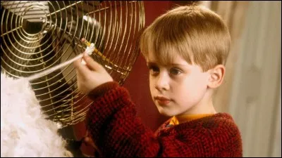 Qu'a raté la maman du jeune Macaulay Culkin dans un film sorti en 1990 ?