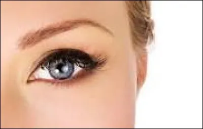 De combien de petits poils, nos sourcils sont-ils environ composés ?