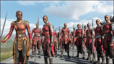 Comment s'appellent les guerrières du Wakanda ?