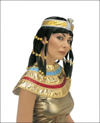 Si vous avez un sens très aigu de l'odorat, et n'êtes pas atteint de maladies nasales, vous pouvez parfaitement et facilement, en ayant du nez, postuler à un poste de "renifleur professionnel de flatulences".