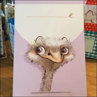 Pour éviter que les bébés autruches ne se mangent entre eux, le "babysitteur pour autruches", est payé, c'est de bonne politique, pour les surveiller.