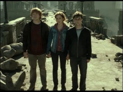 Ton personnage ''Harry Potter'' préféré est :